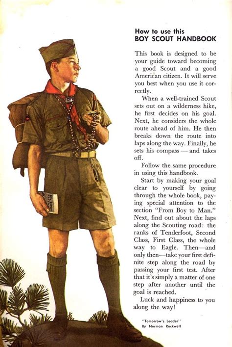 find    boy scout handbook  fascinating   hard  choose  pages