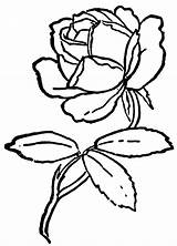 Rose Line Cliparts sketch template