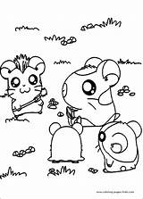 Coloring Hamtaro Pages Cartoon Cute Printable Color Animals Kids Character Book Sheets Info Last Coloriage Cartoons Print Books sketch template