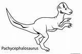 Coloring Printable Dinosaur Pachycephalosaurus Pages Sheets Print sketch template