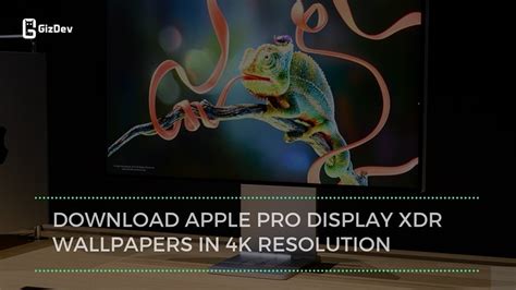 apple pro display xdr wallpapers   resolution