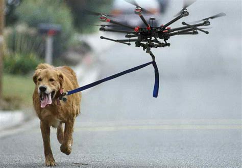 drone walking dog petswithloveus
