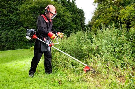 brush cutter gas  electric options epic gardening