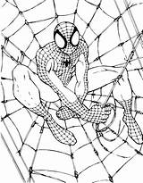 Mewarnai Spiderman Kartun Sd Keren Kumpulan Paud Tk Marimewarnai Belajar sketch template