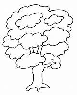 Tree Coloring Pages Trees Preschool sketch template