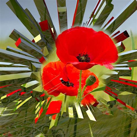 Red Poppies Go Digital Digital Art By Clive Littin