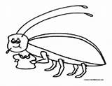 Cockroach Coloring Pages Colormegood Animals 463px 75kb sketch template