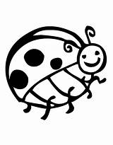 Ladybug Outline Library Clipart Colouring Bug Lady Pages sketch template