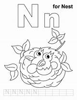 Nest Worksheets Handwriting Coloringhome Mamae Esperando Ninho Passarinhos sketch template