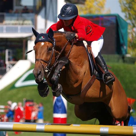 h23 ecole equitation virginie venon