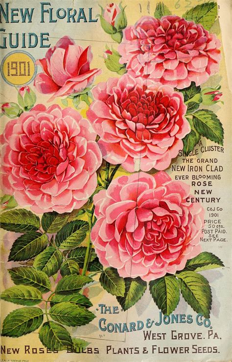 vintage flowers printable printable word searches