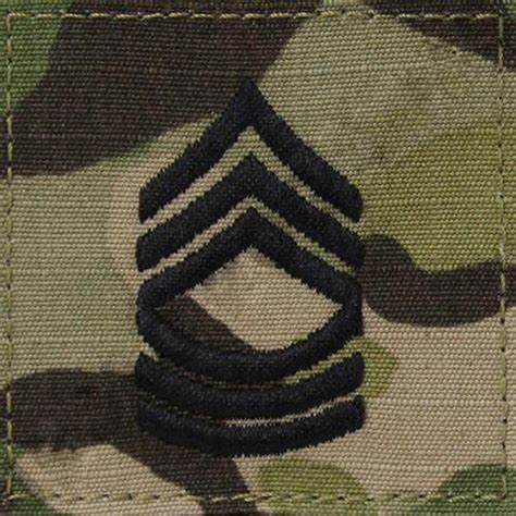 Army Active Duty Ocp Rank Msg Hook Back