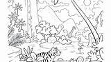 Rainforest Coloring Pages Animals Tropical Forest Layers Printable Color Rain Getcolorings Getdrawings Print Colorings sketch template