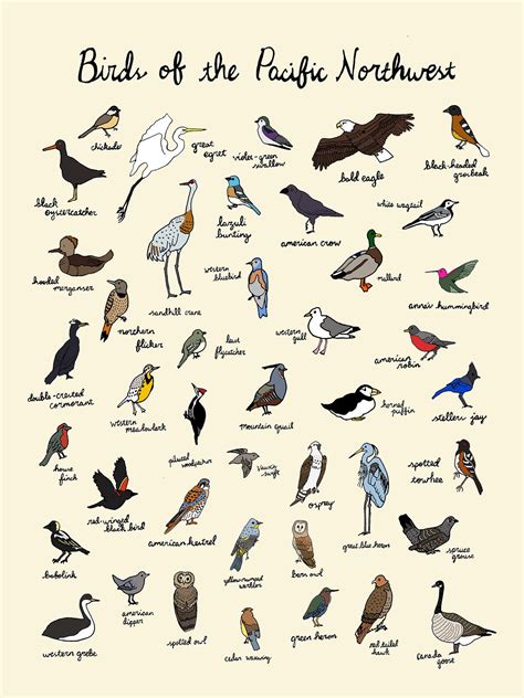 birds   pacific northwest print    oregon etsy canada