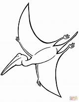 Pterodactyl Coloring Pages Drawing Printable Wufoo sketch template