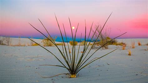sunset at white sands new mexico photo credit to u markdaman22 [2736