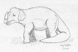 Emela Ntouka Cryptomundo Elephants Killer Corey Above Version Size Click sketch template