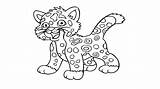 Coloring Tiger Gambar Harimau Mewarnai Marimewarnai Paud Tigers Sketsa Pola Monas Warna Coloringhome sketch template