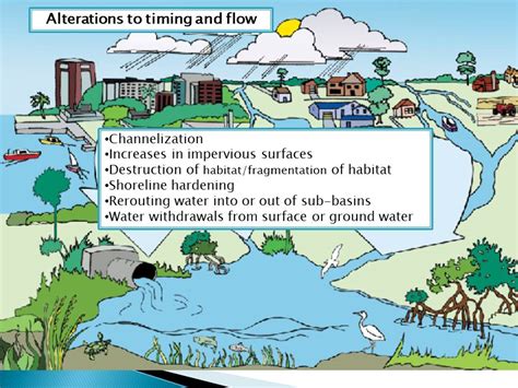 hydrology coastal sarasota watersheds wiki