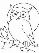 Burung Hantu Sketsa Kolase Owl sketch template