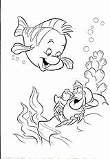 Mermaid Coloring Little Pages Sebastian Flounder Book Disney Colouring Nemo sketch template