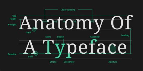 anatomy   typeface newu advertising agency
