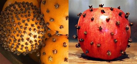 how to get rid of fruit flies naturally using cloves