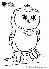 Pages Bratz Tawny Frogmouth Ambi Shelton sketch template
