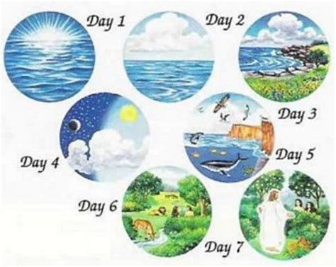 dayssee  visual bible creation story creation story