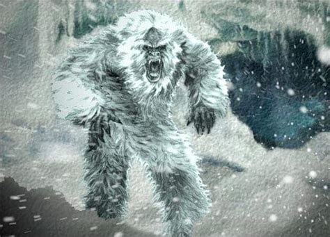 yeti  bigfoot material   genetically tested