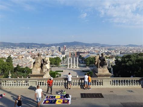 barcelona day tours            tripadvisor