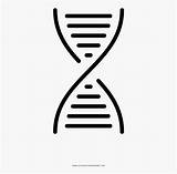 Genetic Clipartkey sketch template