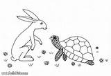 Tortoise Hare Coloring Lebre Tartaruga Hellokids Tartarugas Designlooter sketch template