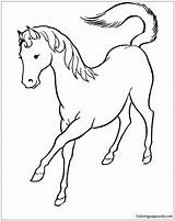 Horse Pages Cute Coloring Beautiful Color Rearing Print Coloringpagesonly sketch template