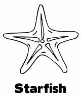 Coloring Starfish Pages Star Sea Kids Drawing Line Healthy Printable Fish Getcolorings Print Getdrawings Book Color sketch template