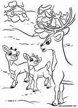 Rudolph Rudolf Ausmalbilder Reindeer Colorat Desenhos Nosed Rentier Nariz Rena Roten Nase Cucciolo Naso Kolorowanki Malvorlagen Planse Renifer Reno Kolorowanka sketch template