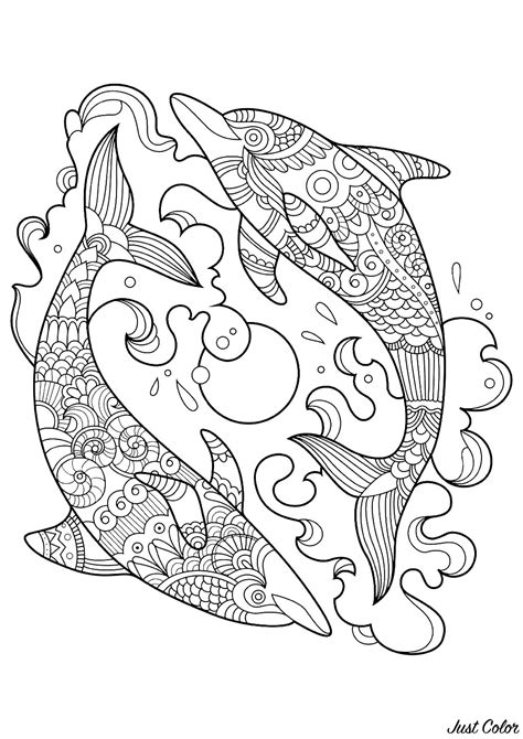 beautiful dolphins dolphins kids coloring pages