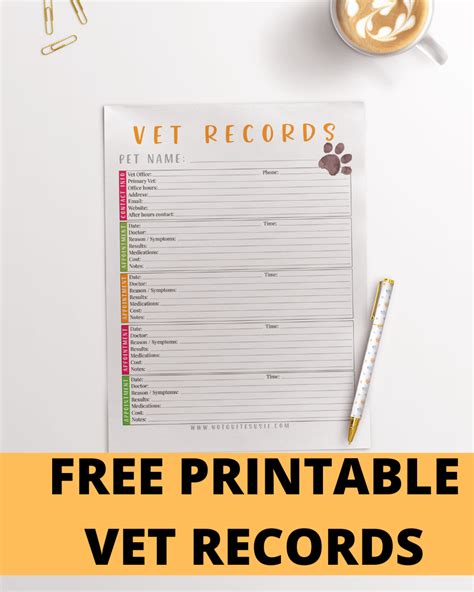 printable pet vet records chart record chart dog medical record