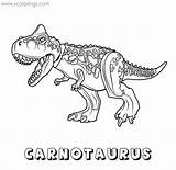 Lego Coloring Jurassic Pages Carnotaurus Dinosaur Printable Xcolorings 486px 32k 500px Resolution Info Type  Size Jpeg sketch template