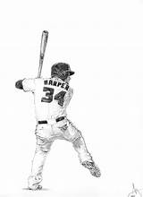 Harper Bryce Outfielder Yankees Nationals sketch template