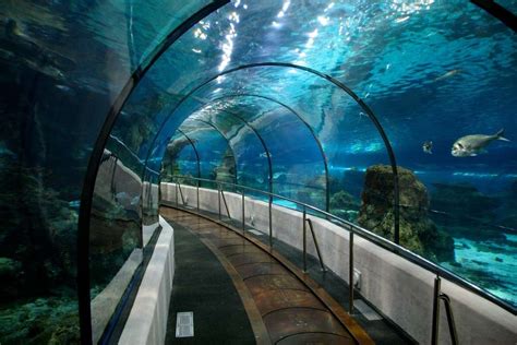 aquarium barcelona bcn  crawls