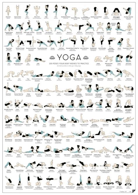 yoga asanas poster