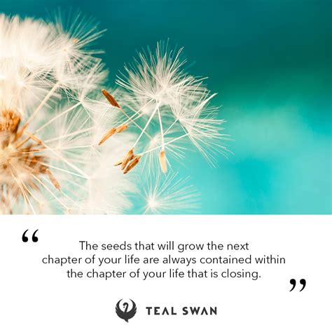 chapter quotes teal swan