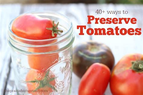 ways  preserve tomatoes  prairie homestead