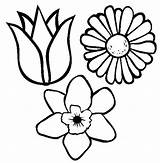 Coloring Spring Flowers Flower Pages Color Kids Drawing Wild Small Pretty Printable Drawings Print Types Getdrawings Getcolorings Draw Astounding Online sketch template