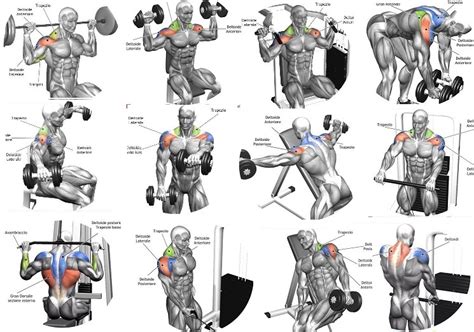 exercises tips for a complete shoulder workout fitness