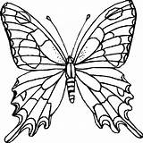 Coloring Butterfly Kids Printables Printable sketch template