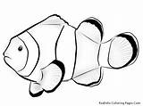 Fish Coloring Pages Nemo Clown Tropical Drawing Printable Realistic Outline Ocean Clownfish Kids Color Flying Sea Exotic Clipart Blank Parrot sketch template