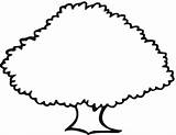 Tree Oak Coloring sketch template