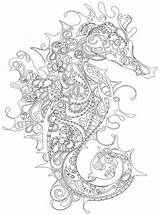 Seahorse Mandalas Sea Seepferdchen Stress Erwachsene Ausdrucken Kindle Jellyfish Invasion Disegni Seahorses Zentangle Zeichnung Malbuch Therapy Kolibri Strichzeichnung Loudlyeccentric Sketch sketch template
